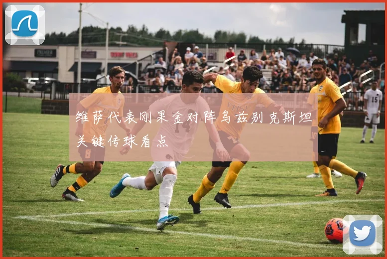 维萨代表刚果金对阵乌兹别克斯坦关键传球看点