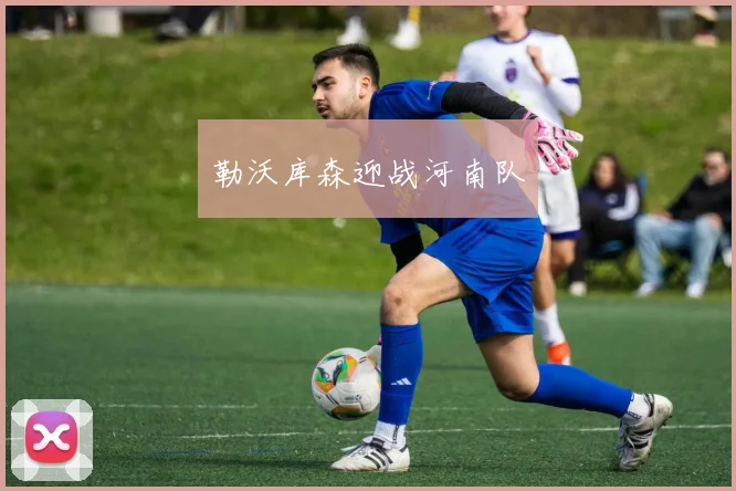 勒沃库森迎战河南队