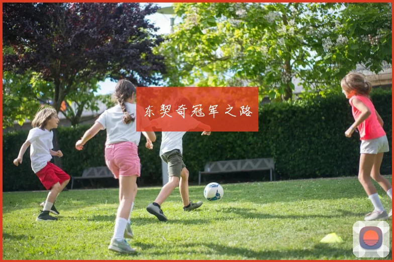 东契奇冠军之路