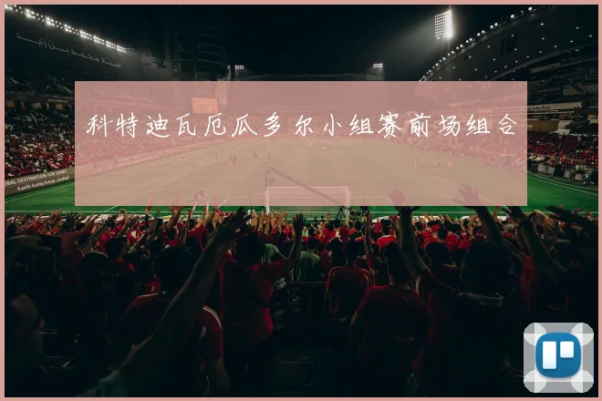 科特迪瓦厄瓜多尔小组赛前场组合